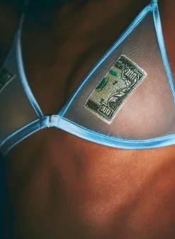 Fleur Du Mal Big Spender Embroidery Triangle Bra