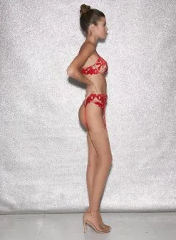 Fleur Du Mal Fuller Cup Velvet Lily Embroidery Plunge Demi Bra -Lingerie Store FDM 010623 1 04637full