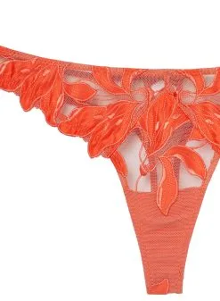 Fleur Du Mal Lily Embroidery Hipster Thong -Lingerie Store clemetinelilyflat2