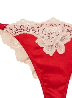 Fleur Du Mal James Lace Cheeky -Lingerie Store jameslacepantyflat2