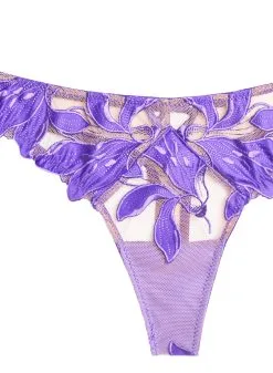 Fleur Du Mal Lily Embroidery Hipster Thong -Lingerie Store lilythongpansyflat2
