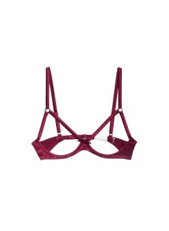 Fleur Du Mal Luxe Ouvert Bra -Lingerie Store luxeouvertbramulberryflat1