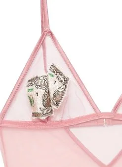 Fleur Du Mal Big Spender Embroidery Bodysuit -Lingerie Store moneybodysuitpinkflat2