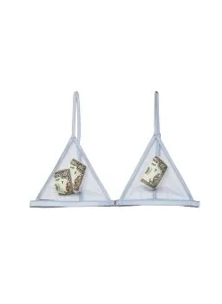 Fleur Du Mal Big Spender Embroidery Triangle Bra -Lingerie Store moneybrablueflat1