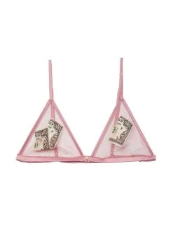 Fleur Du Mal Big Spender Embroidery Triangle Bra -Lingerie Store moneybrapinkflat1