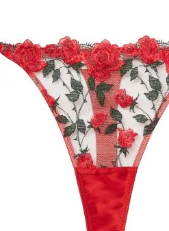 Fleur Du Mal Roses & Thorns Thong -Lingerie Store roseandthornthongflat2
