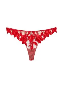 Fleur Du Mal Velvet Lily Embroidery Hipster Thong -Lingerie Store rougevelvetthongflat1