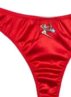 Fleur Du Mal Sagittarius Zodiac Thong -Lingerie Store sagittariusthongflat2